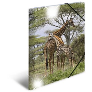 Herma Elasticated folder glossy animals A3 PP giraffe