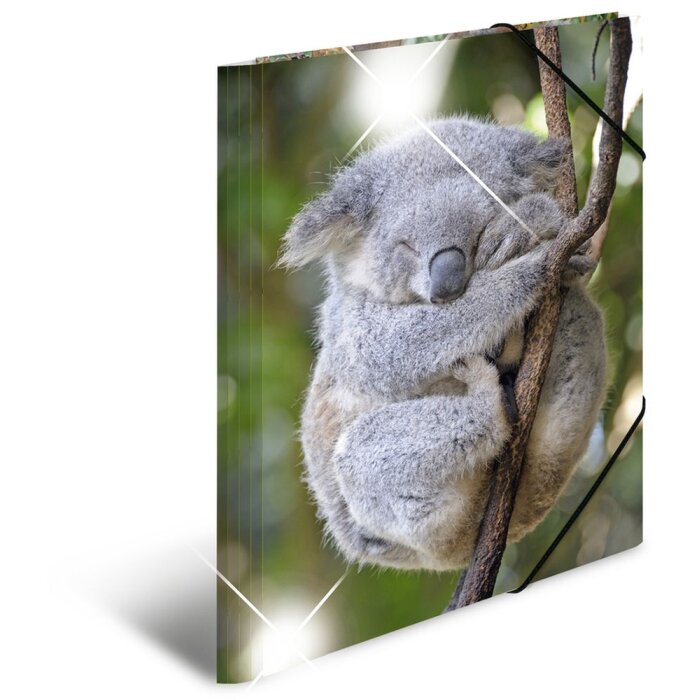 Herma Elasticated folder glossy animals A3 PP koala