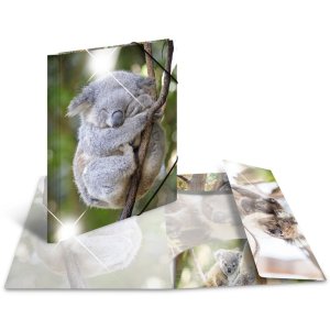 Herma Elasticated folder glossy animals A3 PP koala