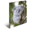 Herma Elasticated folder glossy animals A3 PP koala