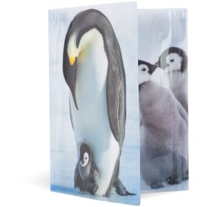 Herma Elasticated folder glossy animals A3 PP penguins