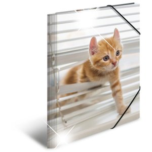 Herma Elasticated folder glossy animals A3 PP cats