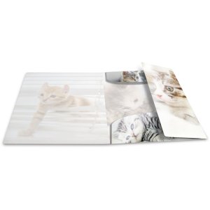 Herma Elasticated folder glossy animals A3 PP cats