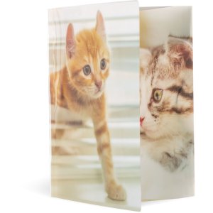 Herma Elasticated folder glossy animals A3 PP cats