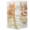 Herma Elasticated folder glossy animals A3 PP cats