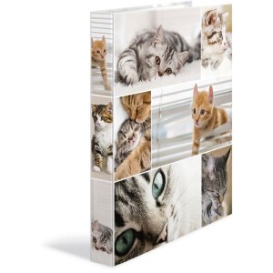 Herma Ring binder A4 cardboard 4D cats