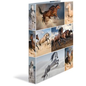 Herma Ring binder A4 cardboard 4D horses