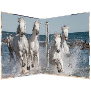 Herma Ring binder A4 cardboard 4D horses