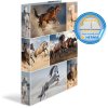 Herma Ring binder A4 cardboard 4D horses