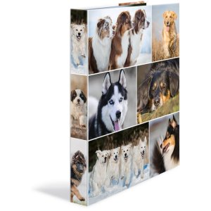 Herma Ring binder A4 cardboard 2D dogs