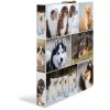 Herma Ring binder A4 cardboard 2D dogs