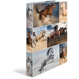 Herma Ring binder A4 cardboard 2D horses