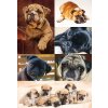 Herma DECOR Sticker DECOR dogs