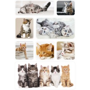 Herma DECOR Stickers cats children