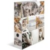 Herma Motif file A4 animals - cats