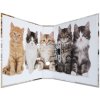 Herma Motif file A4 animals - cats