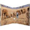 Herma Motif file A4 animals - africa animals