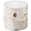 20VO1539 Mascagni Candle 10 cm Birch Bark