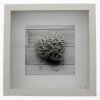 ´Scala´ Portrait Frame, white, 23 x 23 cm