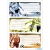 Book labels  76x35 mm football 3 sheets