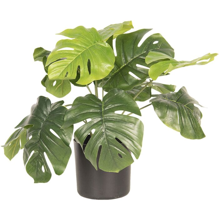 Decoration plant Monstera Deliciosa 42x42x40 cm - Clayre & Eef