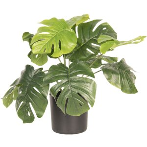 Decoration plant Monstera Deliciosa 42x42x40 cm - Clayre...