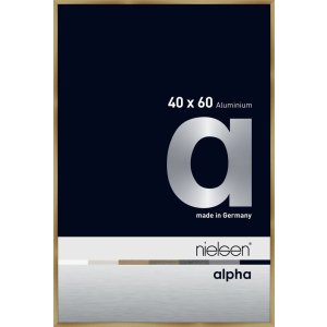 Nielsen Aluminium Picture Frame Alpha 40x60 cm brushed amber