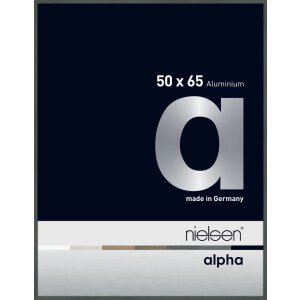 Nielsen Aluminium Picture Frame Alpha 50x65 cm platinum