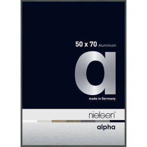 Nielsen Aluminium Picture Frame Alpha 50x70 cm platinum