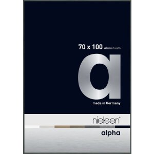 Nielsen Aluminium Picture Frame Alpha 70x100 cm platinum