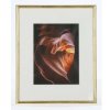 Hama wooden frame Phoenix 24x30 cm gold