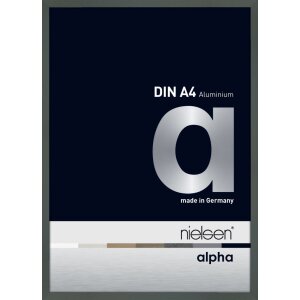 Nielsen aluminium picture frame Alpha TCSC 21x30 cm platinum