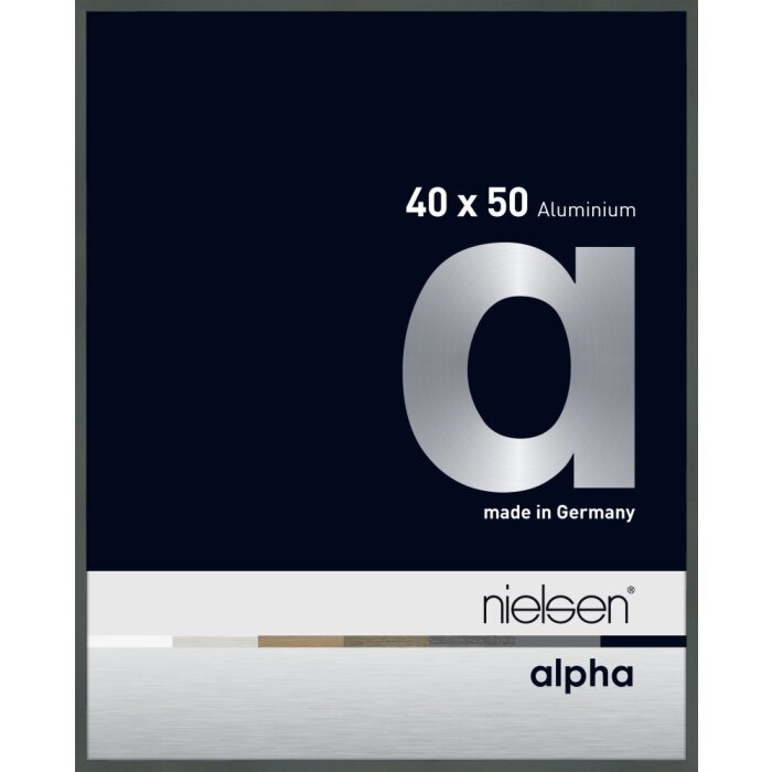 Nielsen aluminium picture frame Alpha TCSC 40x50 cm platinum