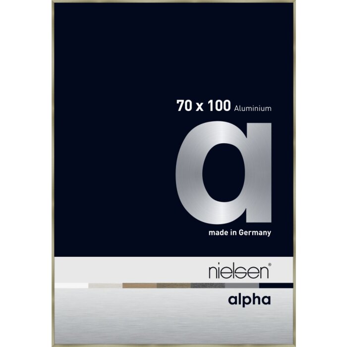 Nielsen aluminium picture frame Alpha TCSC 70x100 cm brushed stainless steel