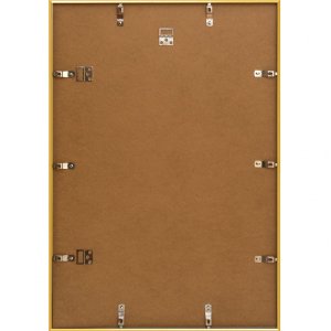 Henzo plastic frame Napoli 70x100 cm gold