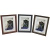 WPC Picture Frame Edge 10x15 cm dark brown