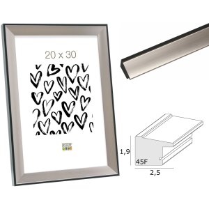 Plastic frame S45FD2 silver anti-reflex glass