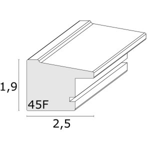 Plastic frame S45FD2 silver anti-reflex glass