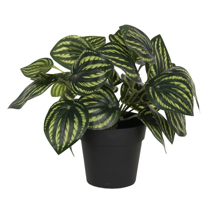 Decoration artificial plant 24x24x25 cm green 6PL0217