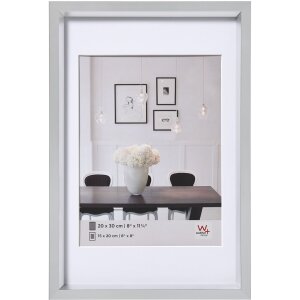 Steel Style plastic frame 60x80 cm silver