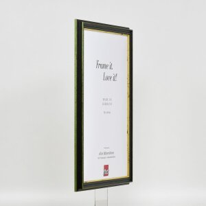 Effect Wooden Frame Profile 21 green 25x50 cm Museum Glass