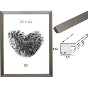 Plastic frame S41VD1 silver anti-reflective glass