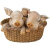 Decoration pigs multicolored 11x11x16 cm 6PR3337