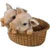 Decoration pigs multicolored 11x11x16 cm 6PR3337