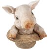 Decoration pig multicolored 13x12x14 cm 6PR3347