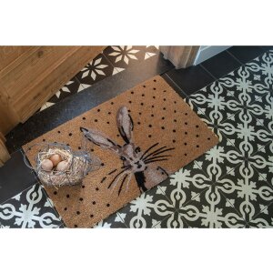 Doormat brown 75x45x1 cm MC209