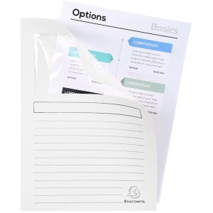 Exacompta 100 Window Folders DIN A4 160g plastic free SUPER White