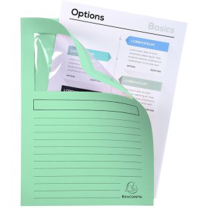 Exacompta pack of 100 window folders 22x31 cm DIN A4 plastic-free 160g light green