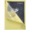 Exacompta pack of 100 window folders DIN A4 plastic-free canary yellow