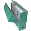 Cardboard transfer box, spine 90mm, 25x33cm for DIN A4 - Iderama - Dark green